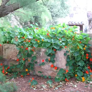  Casa rural Sant Blai