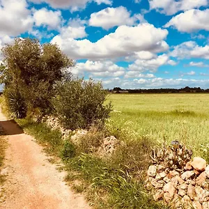  Сasa de vacaciones Arthouse Campos Mit Haus Galeria 110qm Und Appartementhaus Mit Patio 30qm